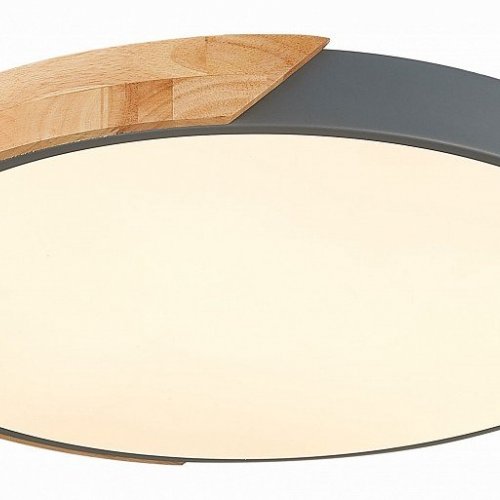 Потолочный светодиодный светильник Evoluce Festa SLE200972-01