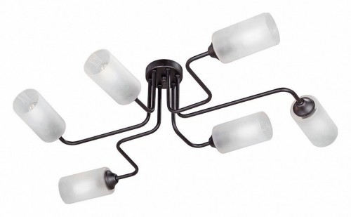 Потолочная люстра Vitaluce V4310-1/6PL