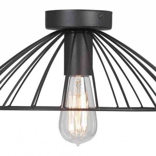 Потолочный светильник Vitaluce V3036-1/1PL