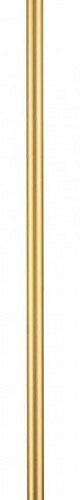 Настенный светодиодный светильник Odeon Light Fillini 4335/12WG