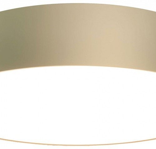 Потолочный светильник Maytoni Zon C032CL-L43MG3K