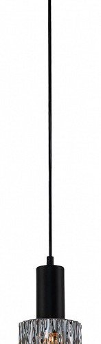 Подвесной светильник Escada Rain 10189/1S Black