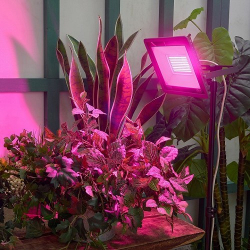 Настенно-потолочный прожектор для растений Uniel ULF-P42 UL-00010384 Настенно-потолочный прожектор для растений Uniel ULF-P42 UL-00010384