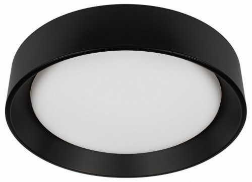 Потолочный светильник Coin 10202 BB