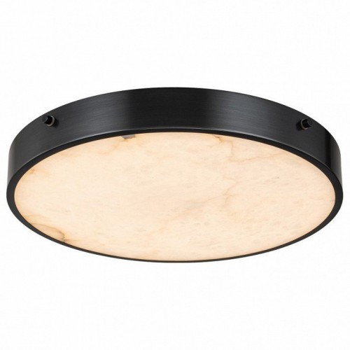 Потолочный светильник Belfast Devon 3395-4 BL MB