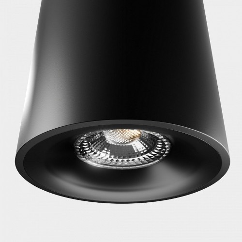 Накладной светильник LIGHTERA Shamrock LE201CL-1BA Накладной светильник LIGHTERA Shamrock LE201CL-1BA