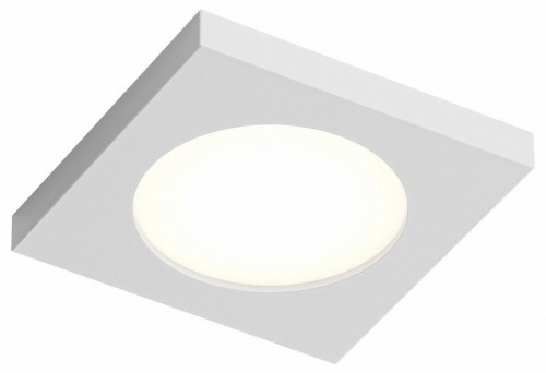 Влагозащищенный накладной светильник Denkirs DK3014-WH