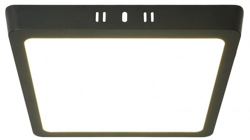 Потолочный светодиодный светильник Feron AL504 51074