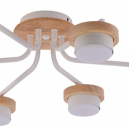 Потолочная люстра Lois 3186-306