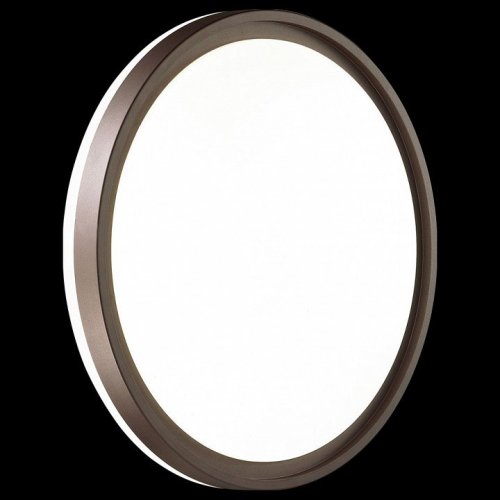 Настенно-потолочный светильник Sonex Navil 3044/CL