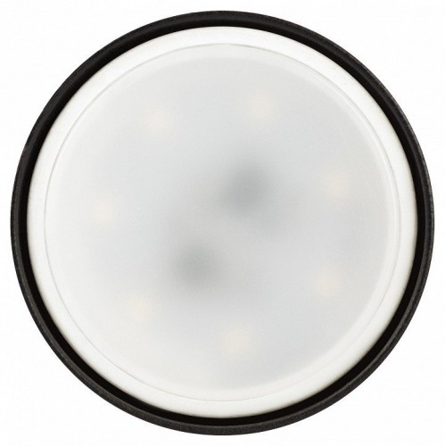 Накладной светильник Эра  OL57 BK