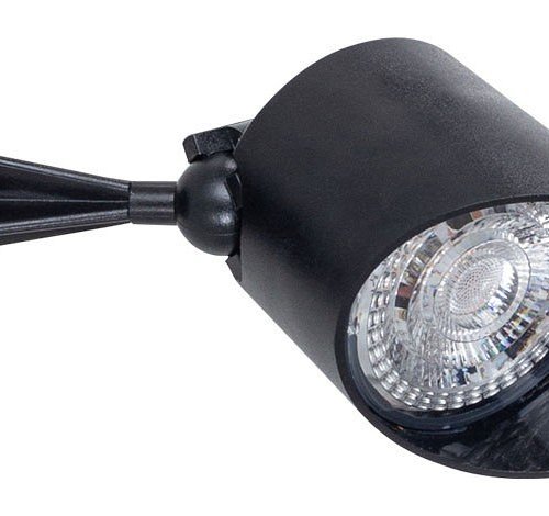 Прожектор уличный Arte Lamp Elsie A1024AL-1BK