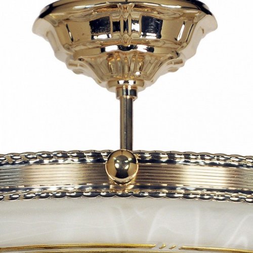 Потолочная люстра Arti Lampadari Tito E 1.3.40 G
