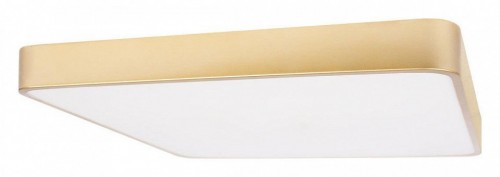 Потолочный светильник Loft IT Flims 10228/D Потолочный светильник Loft IT Flims 10228/D