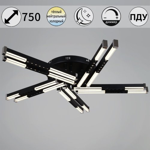 Потолочная люстра  24090-0.3-10 BK