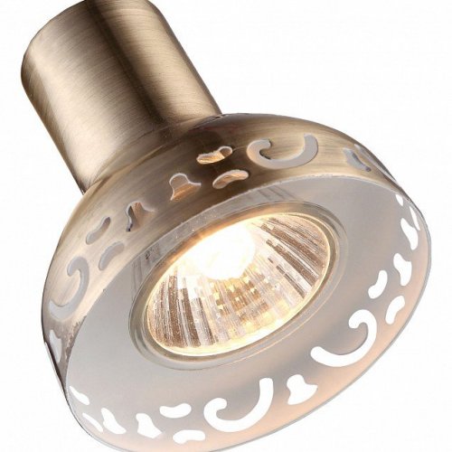 Настенно-потолочный светильник Arte Lamp Focus A5219AP-1AB