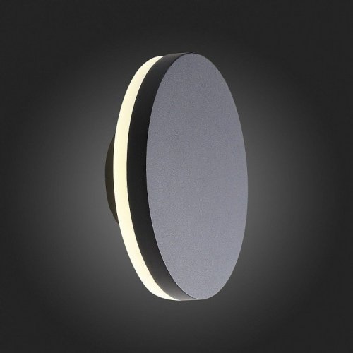 Уличный настенный светодиодный светильник ST Luce Mango SL087.401.01