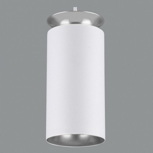 Подвесной светодиодный светильник Elektrostandard DLS021 9+4W 4200К белый матовый/серебро 4690389144288