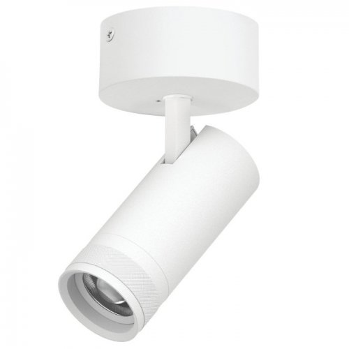 Спот Canno Pro C4206SO