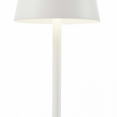 Настольная лампа F-Promo Pyari 4614-1T