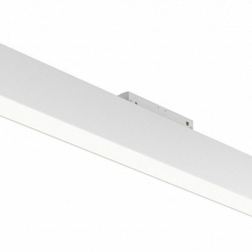 Трековый светильник Maytoni BASIS TR012-2-20W4K-W