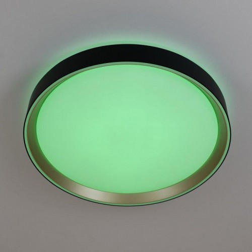 Накладной светильник Citilux BOSS CL751351G