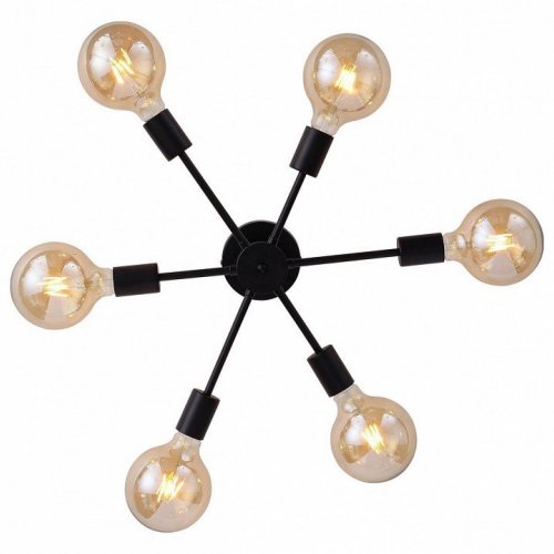 Потолочная люстра ST Luce Ano SL419.402.06