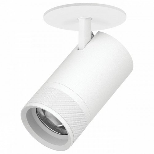 Спот Lightstar Canno Pro C4406RS