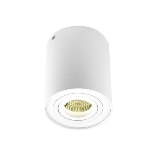 Точечный светильник DL18613/01WW- R White