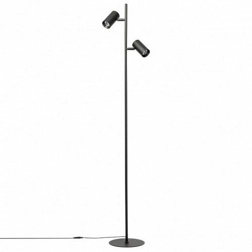 Торшер Citilux Twin CL809011N Торшер Citilux Twin CL809011N