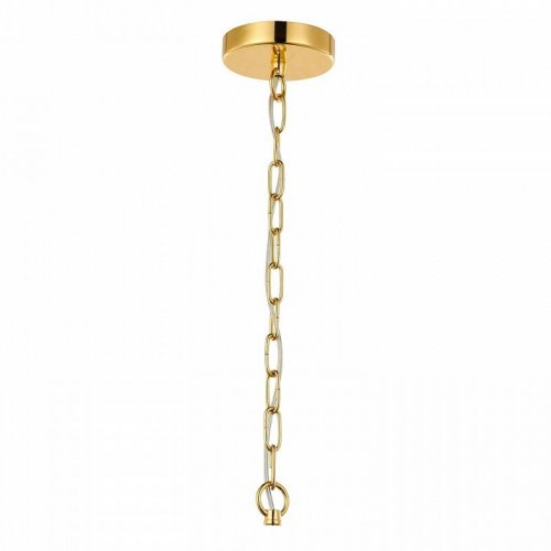 Подвесная люстра Favourite Aesthetic 2673-16P Подвесная люстра Favourite Aesthetic 2673-16P