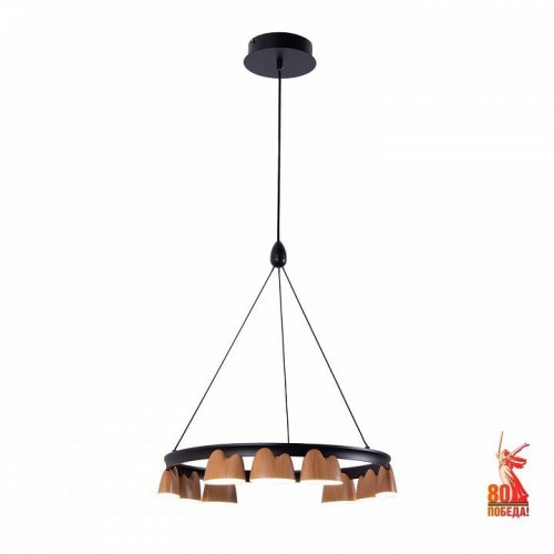 Подвесная люстра Favourite Interline 4266-9P