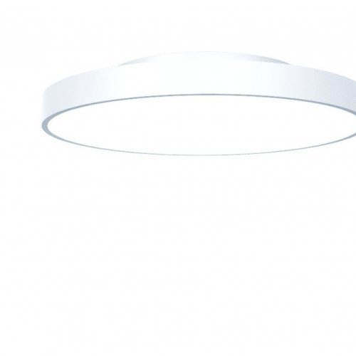 Потолочный светильник NX DL-BROC-6004834-WH-NN Потолочный светильник NX DL-BROC-6004834-WH-NN