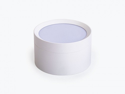 Точечный светильник LEDS Power SPOT 009384