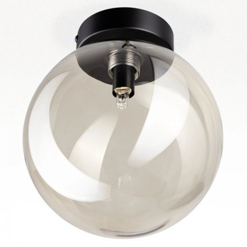 Настенно-потолочный светильник Citilux Orton CL202511