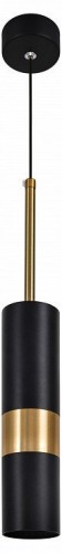 Подвесной светильник Эра PL33 BK/GD Б0061382