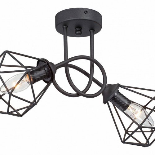 Потолочная люстра Vitaluce V4930-1/2PL