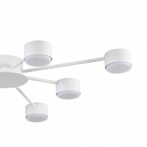 Потолочная люстра Lumion Torina 8343/8C Потолочная люстра Lumion Torina 8343/8C