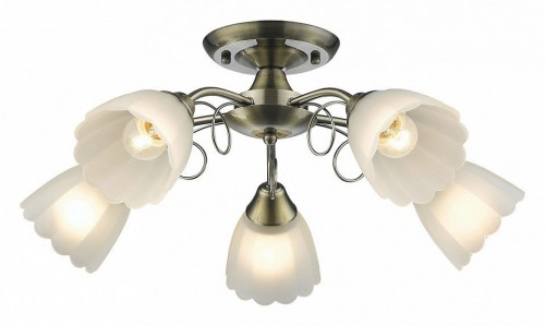 Потолочная люстра Velante 708-507-05