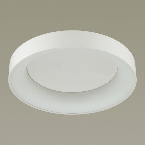 Потолочный светодиодный светильник Odeon Light Sole 4062/50CL