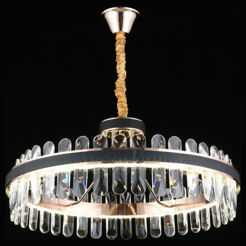 Подвесная люстра Aployt Honori APL.027.03.102