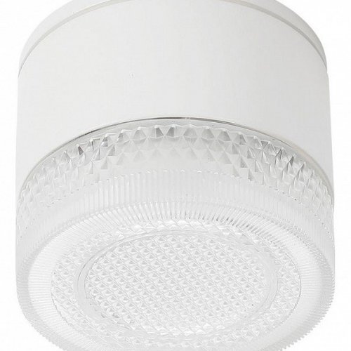 Потолочный светильник уличный Arte Lamp Piautos A1926PF-1WH