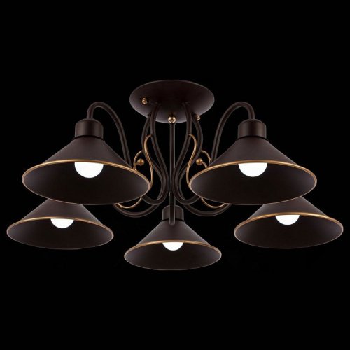 Потолочная люстра Evoluce Ciolla SLE120402-05