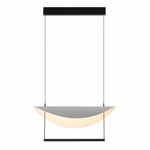 Подвесной светильник Odeon Light Next 7015/20L