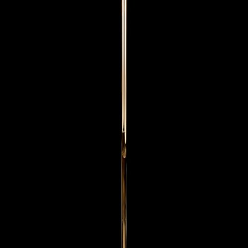 Торшер Chantale LE3027/1F GD/BL