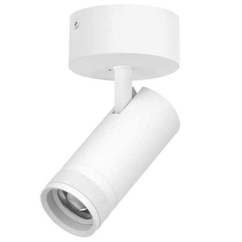 Спот Canno Pro C4206SO