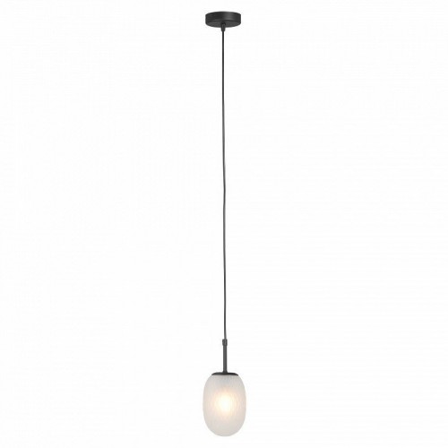 Потолочная люстра Vitaluce V28210-1/1S