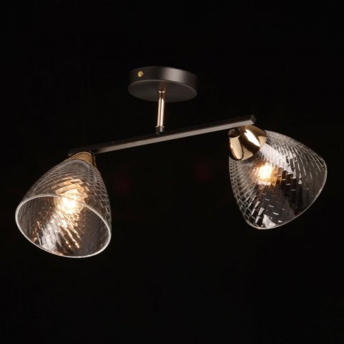 Потолочная люстра Dela 635017402 Потолочная люстра Dela 635017402