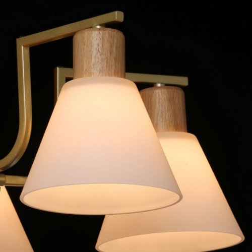 Потолочная люстра DeMarkt Дэла 635016505