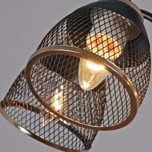 Потолочная люстра Reluce 01505-0.3-05 BK+FGD